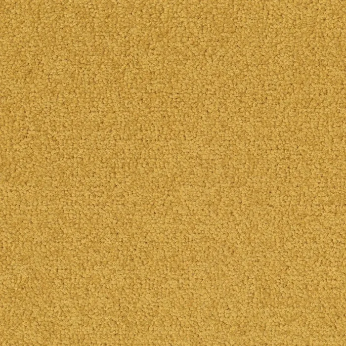Palatino 6016