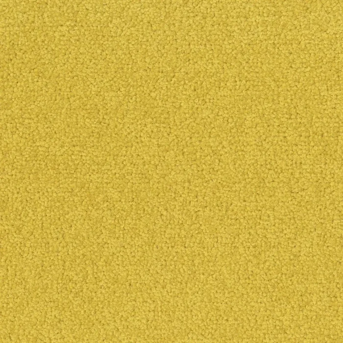 Palatino 6208