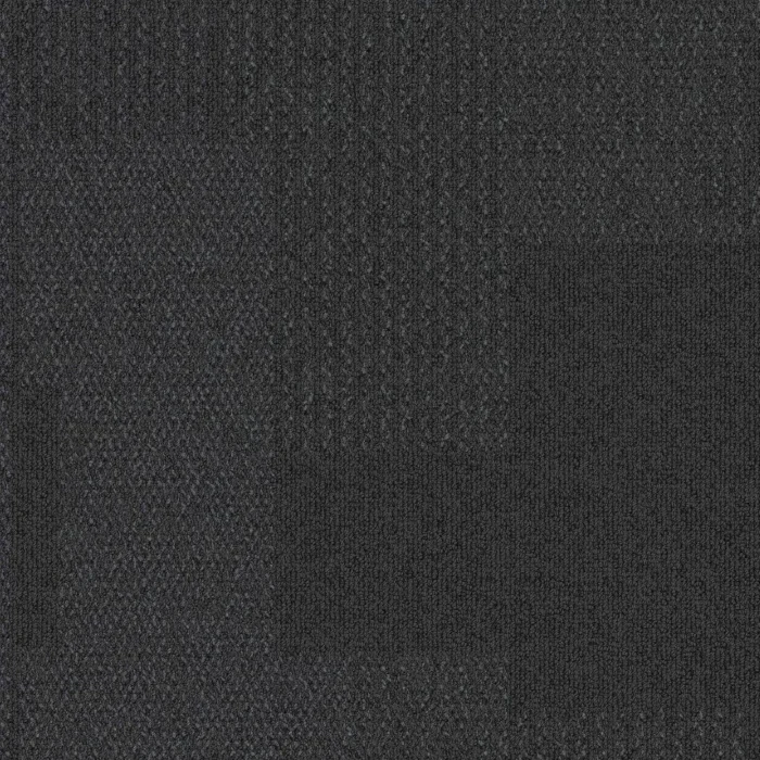 Transformation 1628067 Nightshade